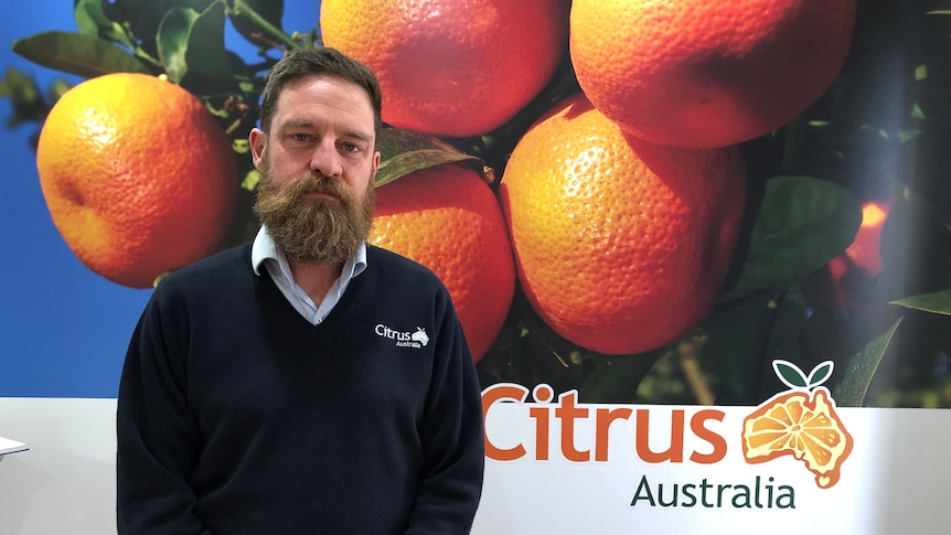 Australian citrus industry calls on commissioner to address housing and labor shortages