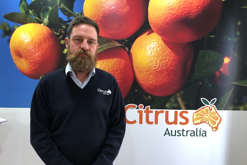 Nathan Hancock stands in front of a banner showing mandarins hanging on a tree