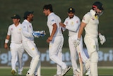 Pakistan's Mir Hamza celebrates after he bowled Australia's Shaun Marsh during the second Test in Abu Dhabi.