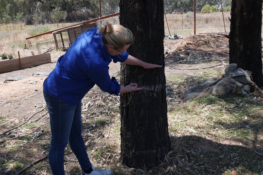A woman pointing out two marks on a tree