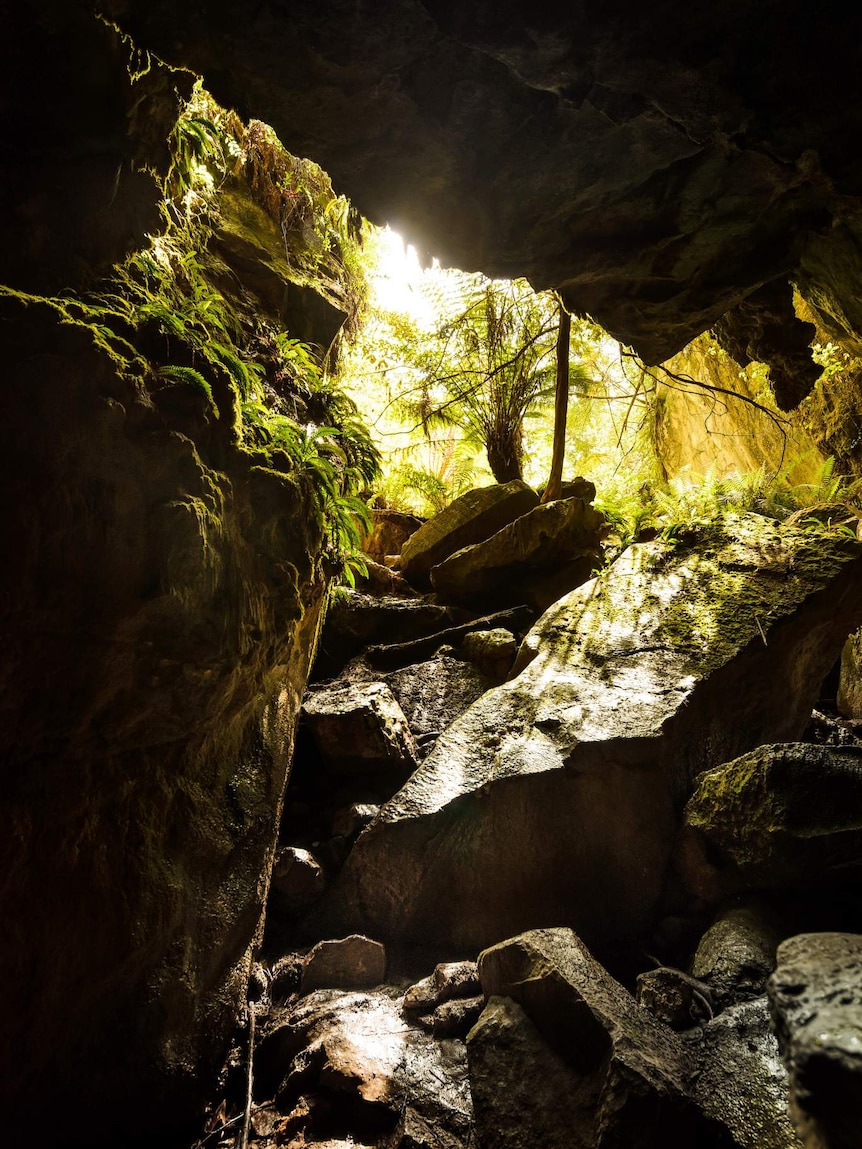 Mystery Creek Cave entrance