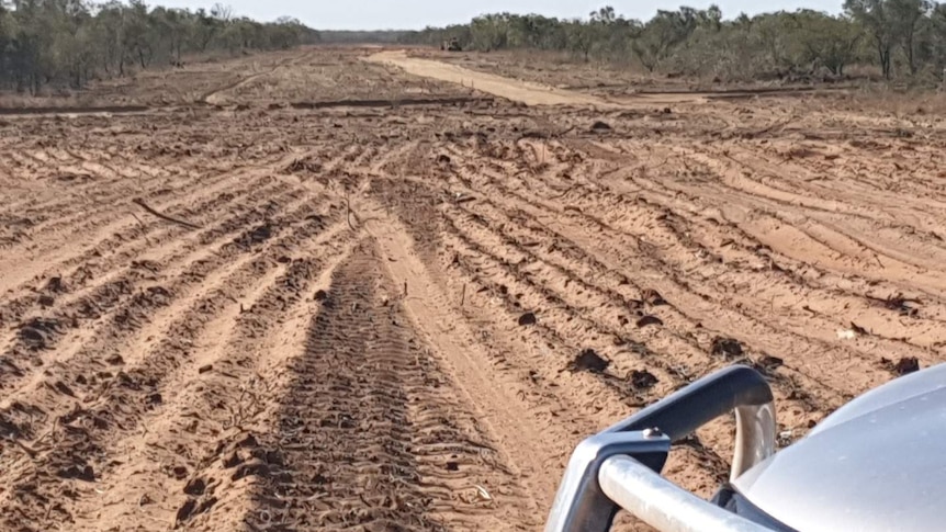 A clearing of land surrounded by bush on bush sides