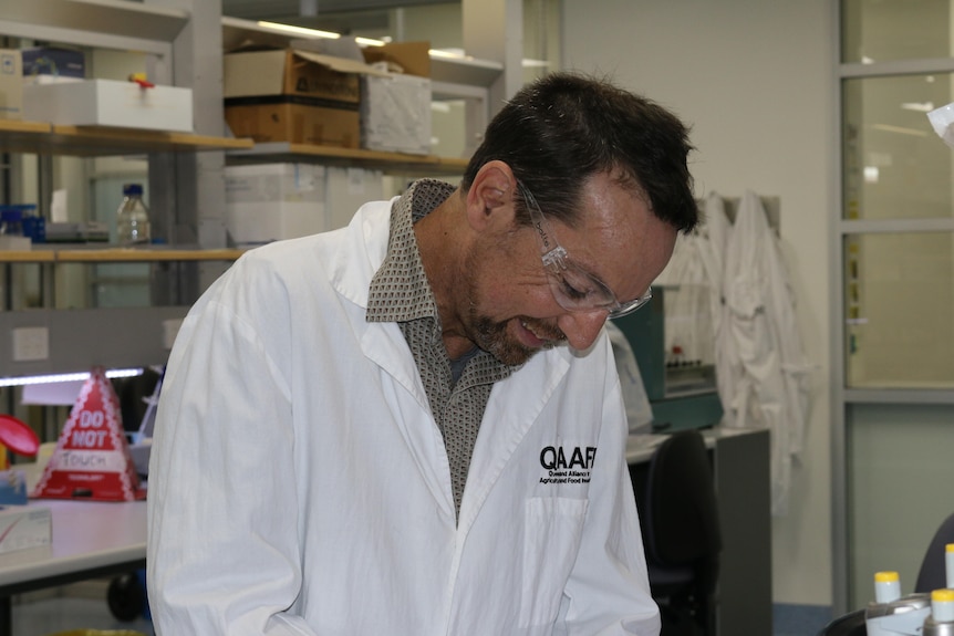 A man wearing scientific googles and a while coat, looking down at something in a laboratory.