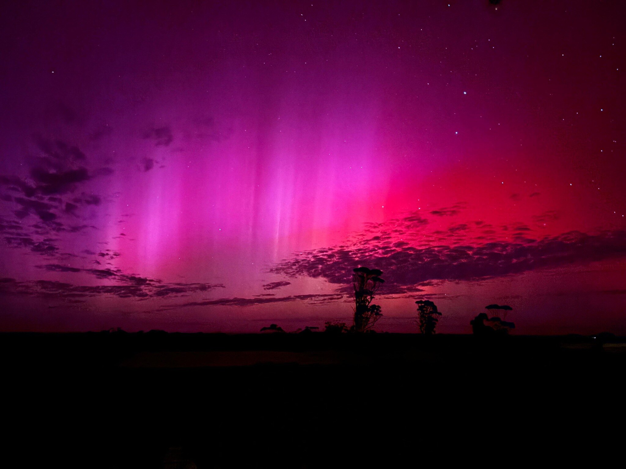 A sky filled with clouds and vertical purple streaks hovers over a landscape dotted with native trees.