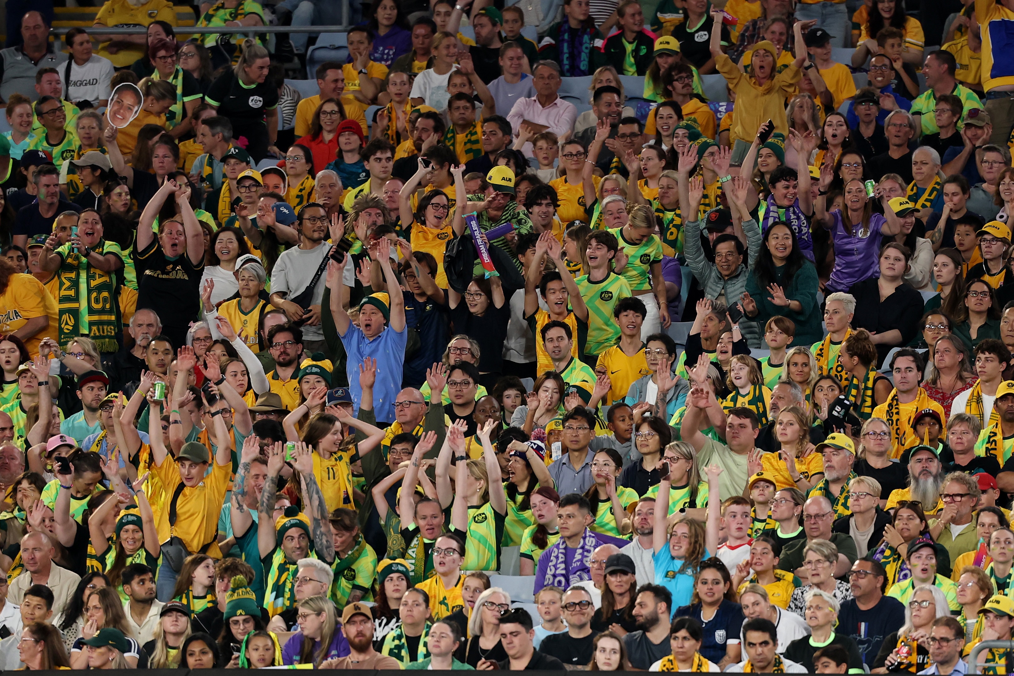 A full crowd in green and gold