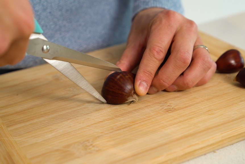 A person using scissors to cut a chestnut on a cutting board