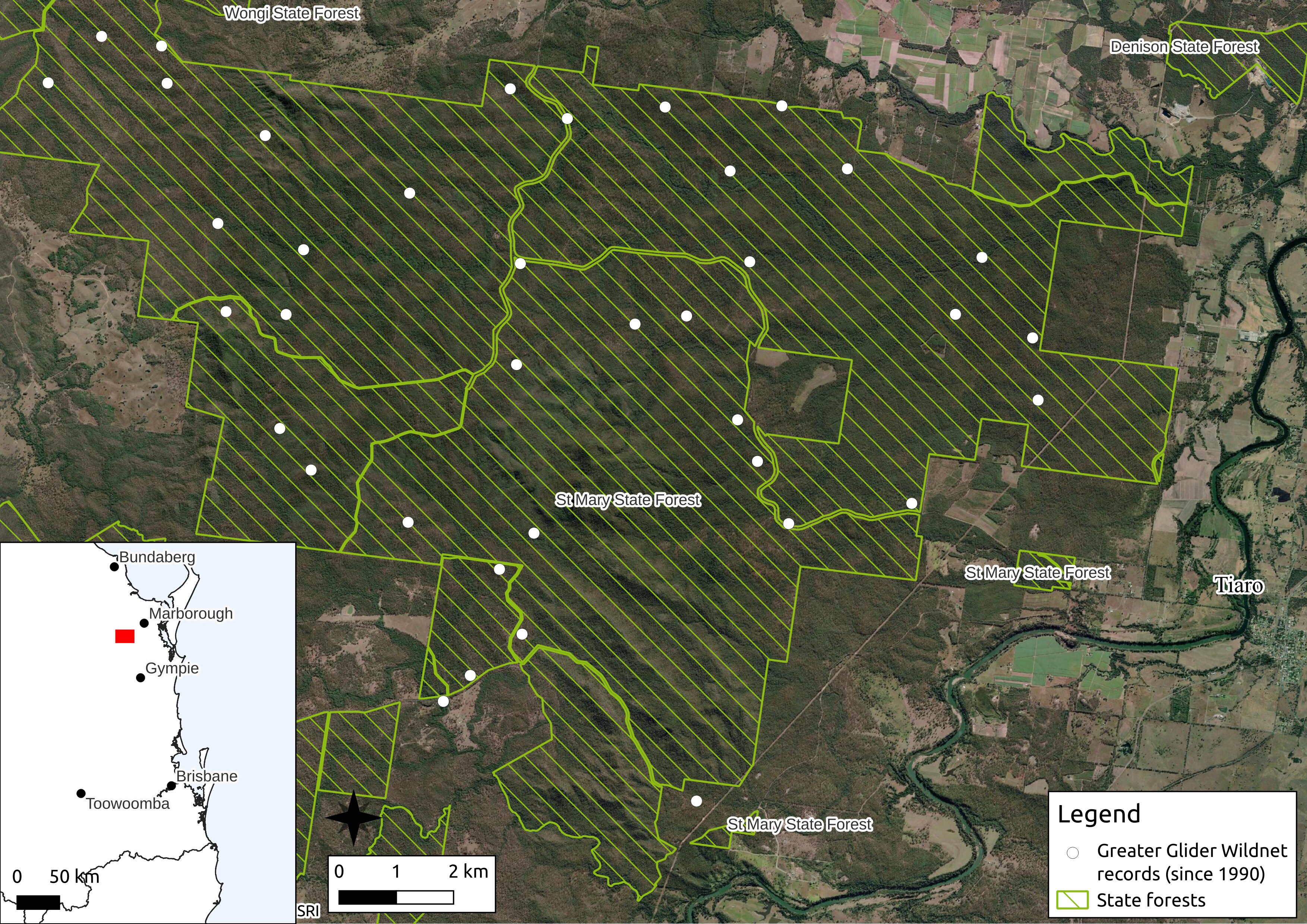 A map of greater gliders in the St Mary State Forest