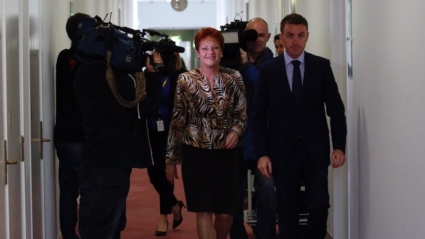 Pauline Hanson walks through Parliament followed by media