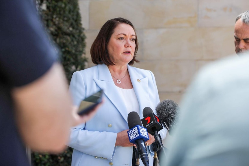 Liza Harvey speaking at a press conference