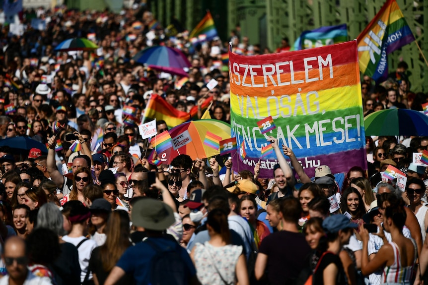 A large crowd of protesters marches with rainbow flags and placards