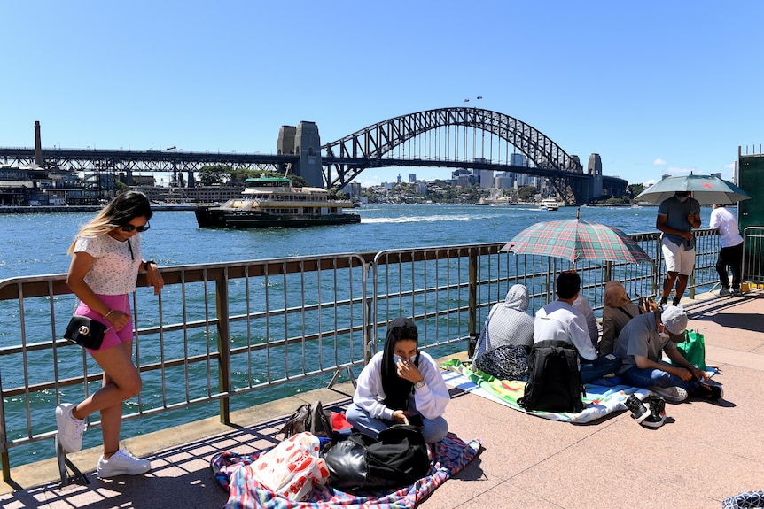 people sit on the ground some holding umbrellas along the foreshore on sydney harbour