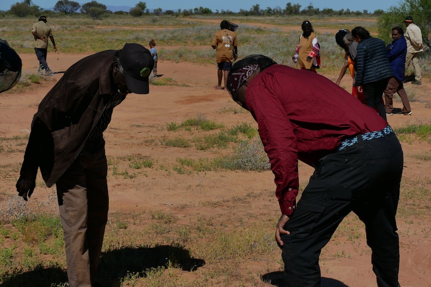 Two Aboriginal men in the foreground bend over peering for tracks on the ground.