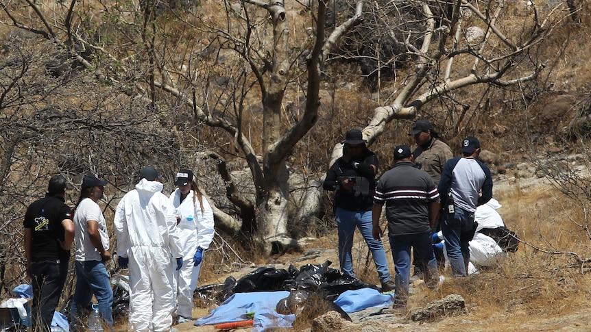 Forensic experts work with several bags of human remains extracted from the bottom of a ravine by a helicopter.