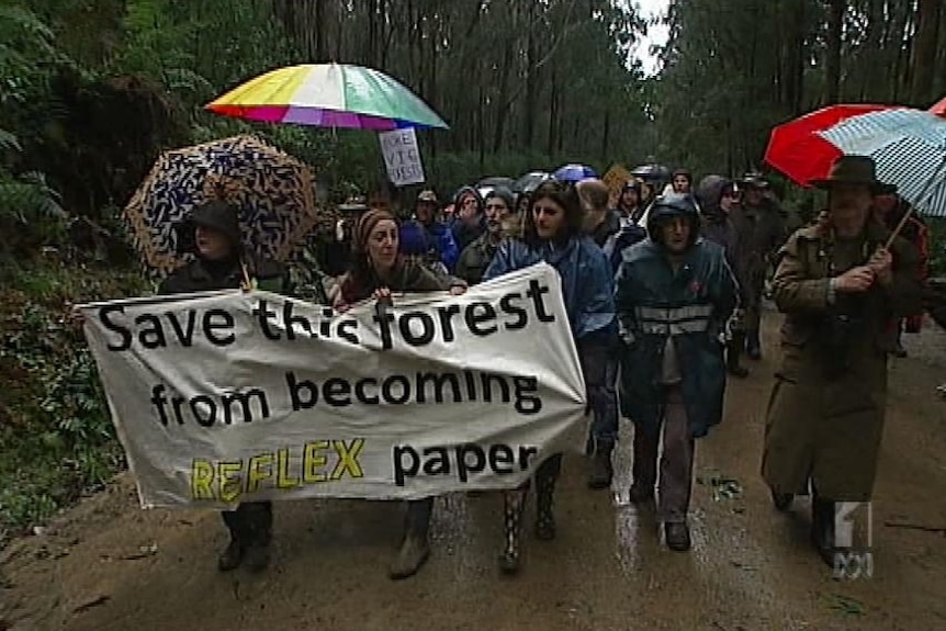 Protesters fight to save the Sylvia Creek forest