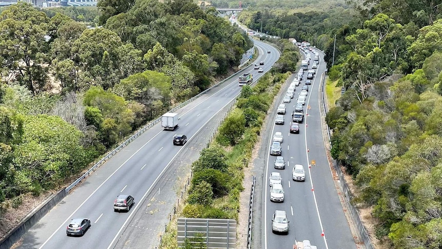 M1 traffic heading from New South Wales into a border checkpoint on Queensland's Gold Coast.