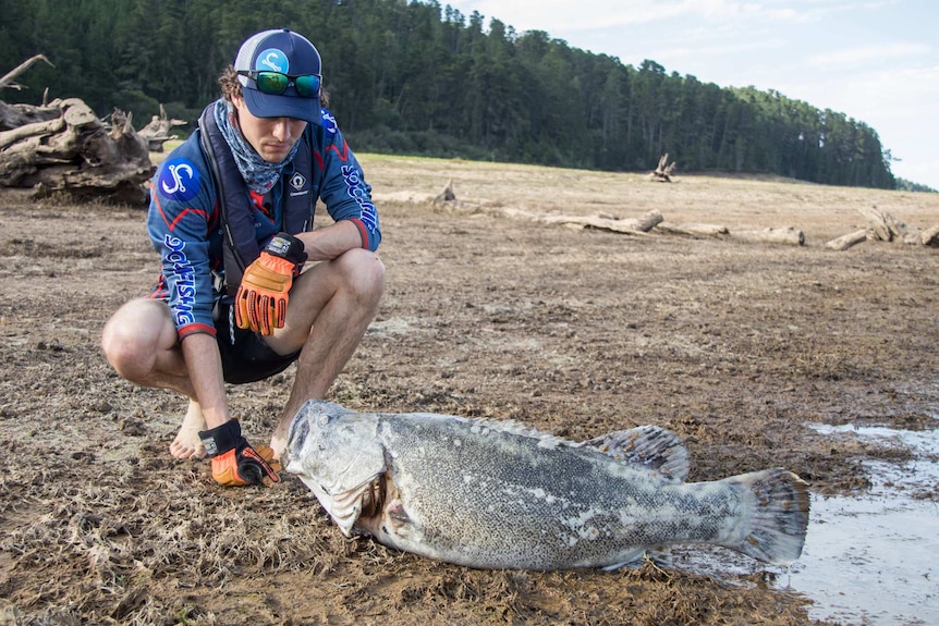 A man crouches down next to a dead fish.