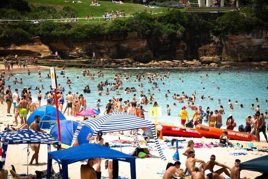 Swimmers at Sydney's Coogee Beach 260124