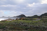Walkers are seen on a rocky track on Tasmania's north-west coast.