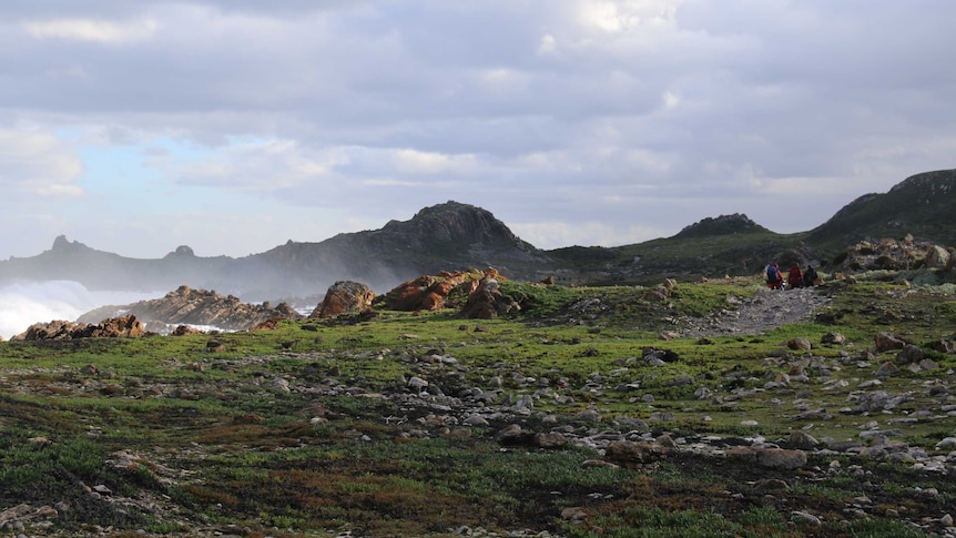 Walkers are seen on a rocky track on Tasmania's north-west coast.