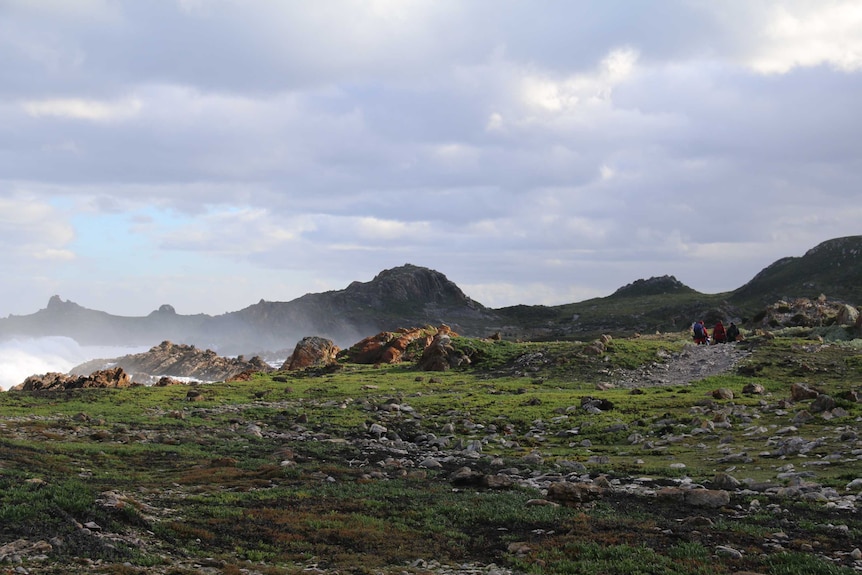 Walkers are seen on a rocky track on Tasmania's north-west coast.