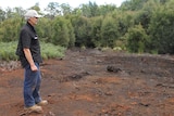 A man stands in a burnt out patch of dirt that used to be a swamp. It's surrounded by small young trees and bracken ferns.