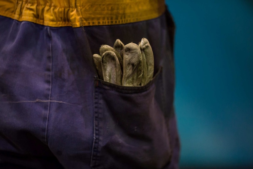 Gloves in the rear pocket of a worker's jumpsuit