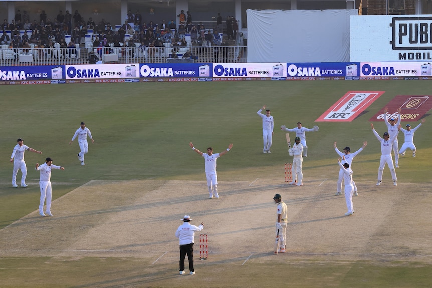 All 11 England players appeal crowded around the wicket