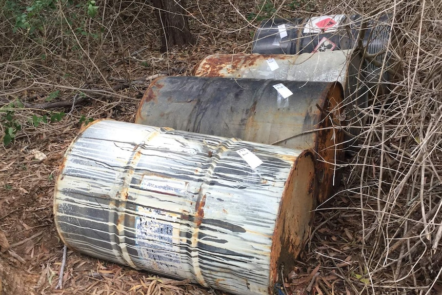 Four barrels, one covered in white paint and another with toxic warning stickers, lay side-by-side in bushland.