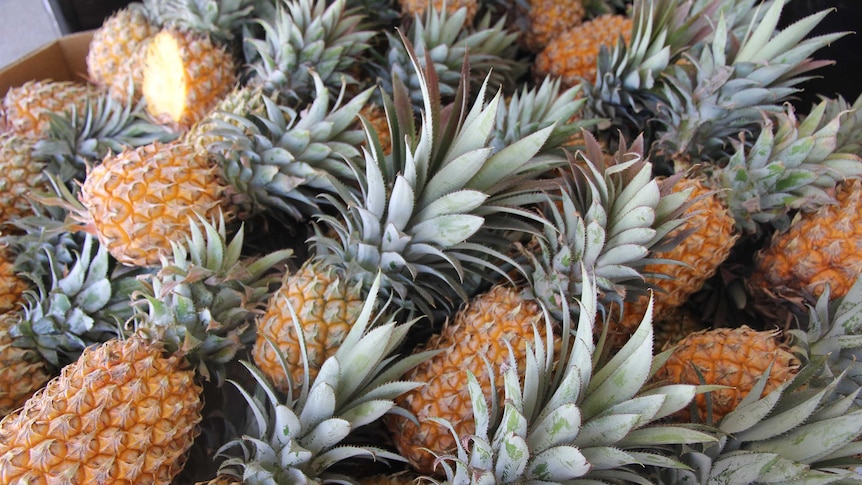 A big box of pineapples