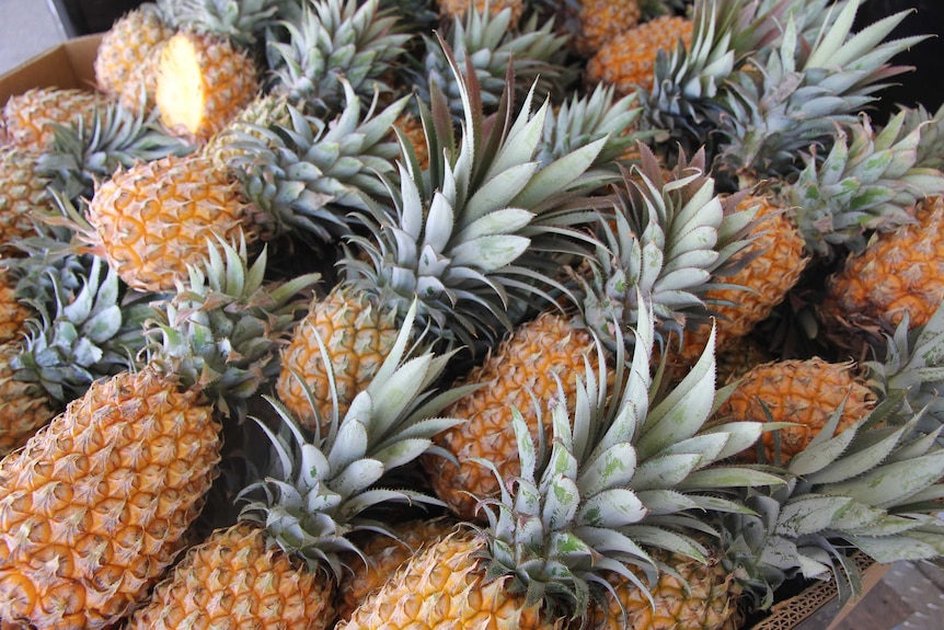 A big box of pineapples