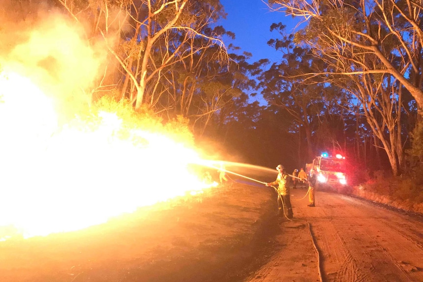 Firefighters spray water on a large bushfire.