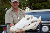 Aaron Rodwell from Croc Stock and Barra holding a large crocodile skull