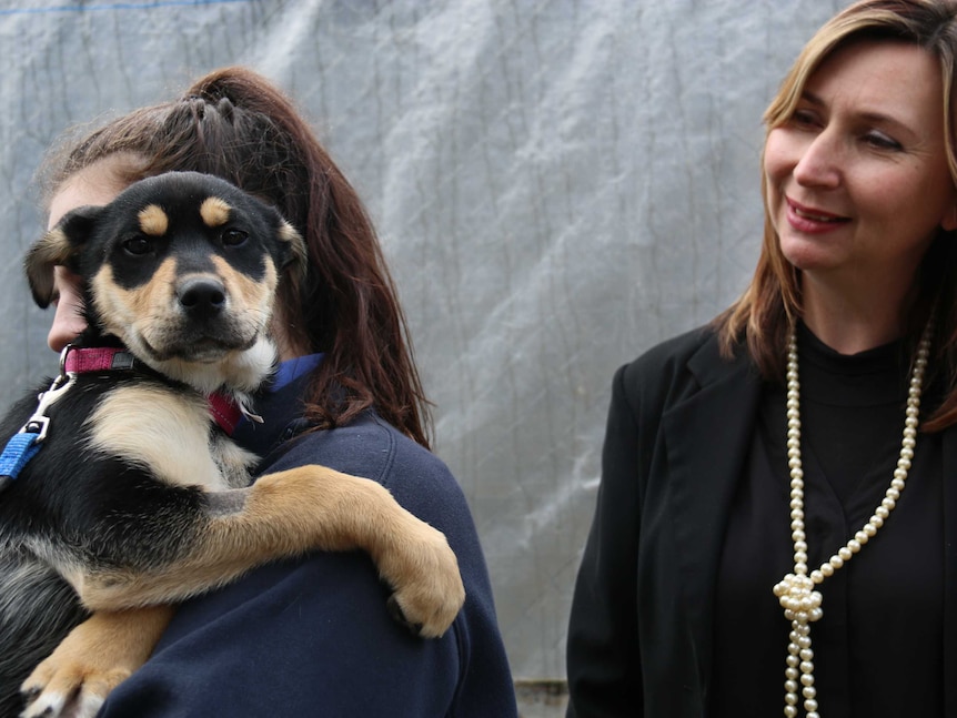A woman looks at another woman who is holding a puppy. The dog is looking at the camera.