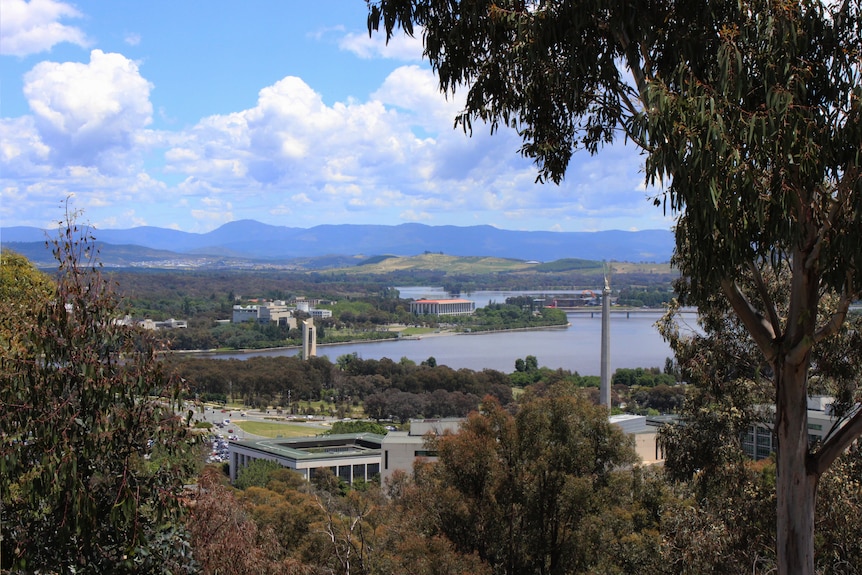 A wide shot of Canberra with the lake and a tree in the right hand corner.