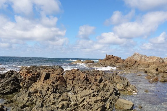 Netherby Cove King Island