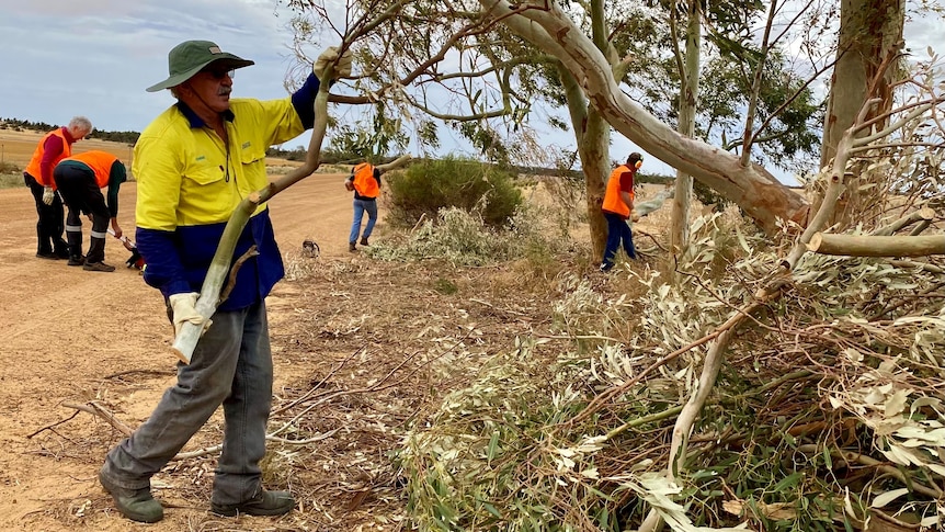 A man in a yellow shirt lifts a tree branch, others doing similar work are in the background. 