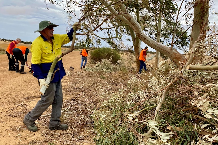 A man in a yellow shirt lifts a tree branch, others doing similar work are in the background. 