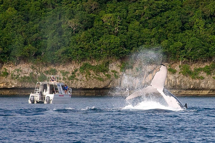 A whale flips its tale out of the water while people in a nearby boat watch.