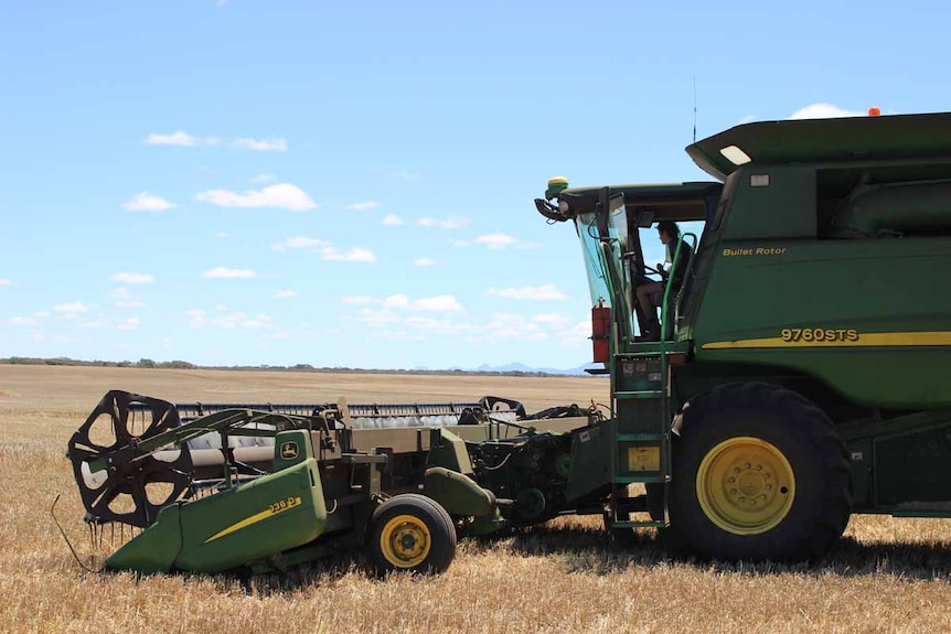 Woman drives green header harvester in sunny field.