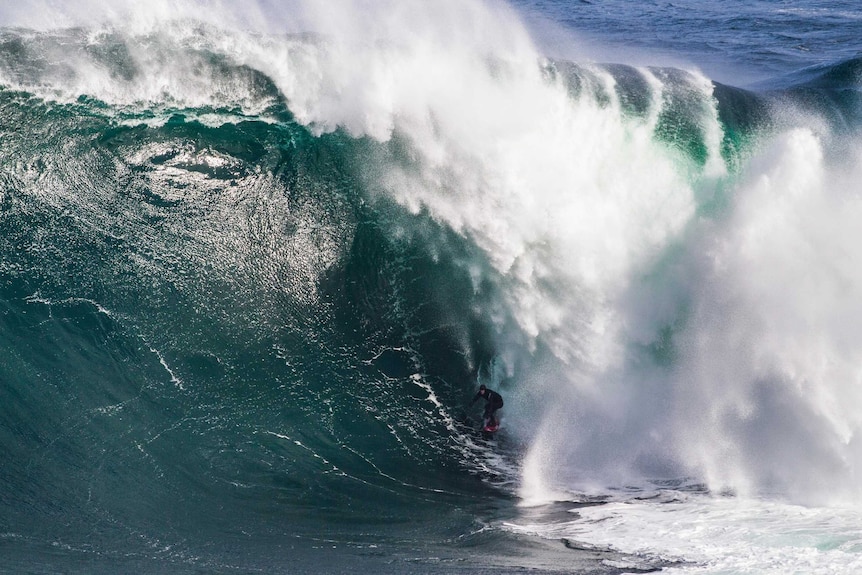 Tyler Hollmer-Cross at Shipstern Bluff