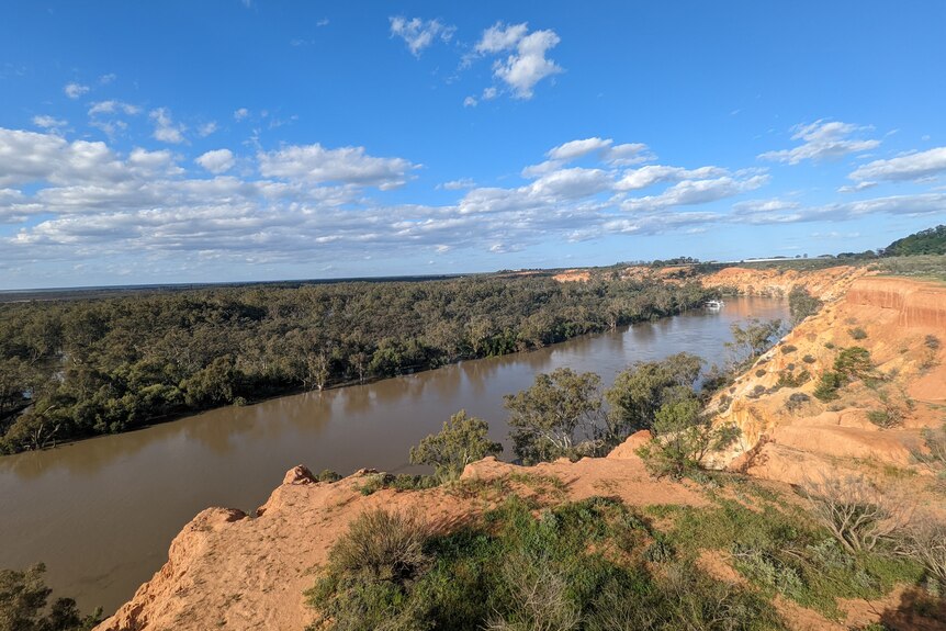 Orange limestone cliffs loom over the winding murray river and floodplains at Murtho in South Australia’s Riverland.