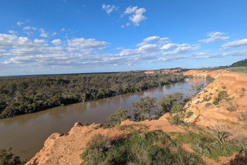 Orange limestone cliffs loom over the winding murray river and floodplains at Murtho in South Australia’s Riverland.