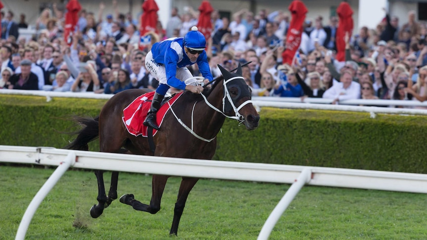 Winx ridden by Hugh Bowman wins the 2017 George Main Stakes at Randwick.