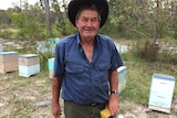 Beekeeper Mick Camilleri stands with his hives.