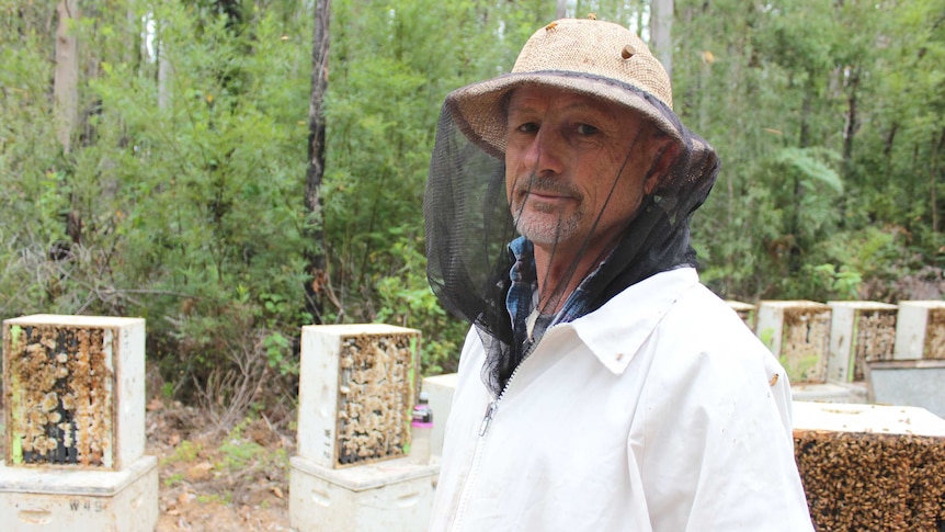 Mike Spurge stands with beekeeping suit on in Northcliffe forest
