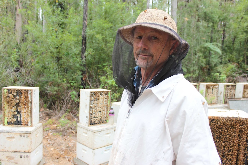 Mike Spurge stands with beekeeping suit on in Northcliffe forest