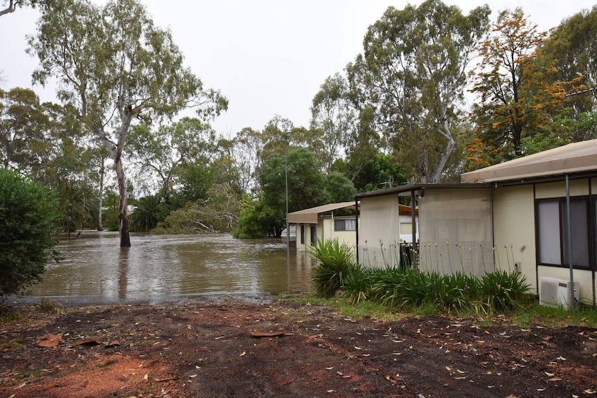 Floodwaters rise and a tree is seen toppled in the background at the euroa caravan park.