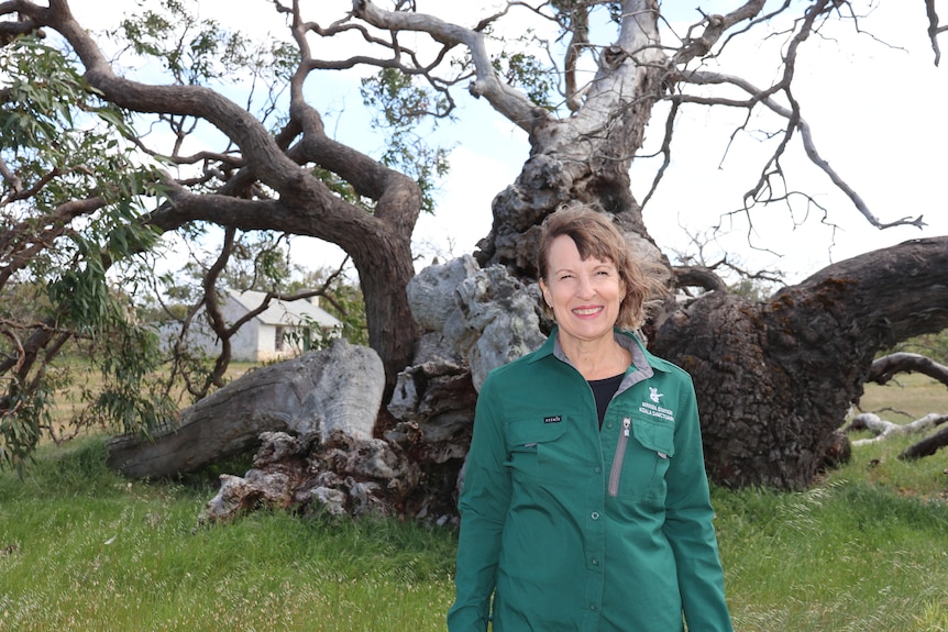 Woman in green top smiling in front of large trunk tree with sprawling branches and a little white hut in the background.