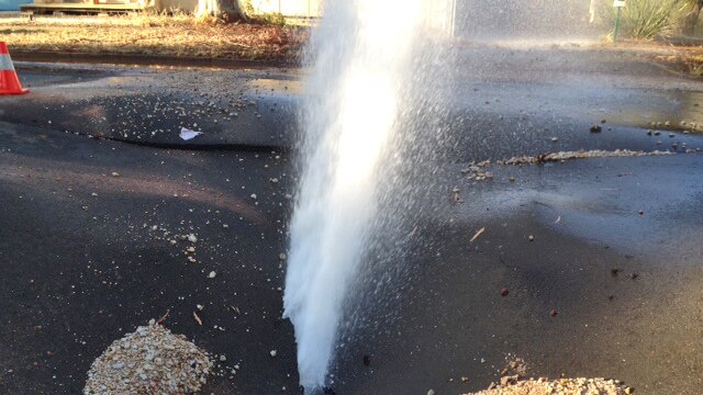 Water pours from a hole in the roadway