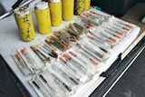 Syringes found in Adelaide wetlands